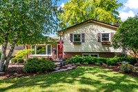 1136 Walnut, Arlington Heights