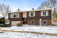 496 Raupp