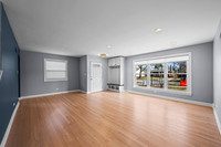 MLS